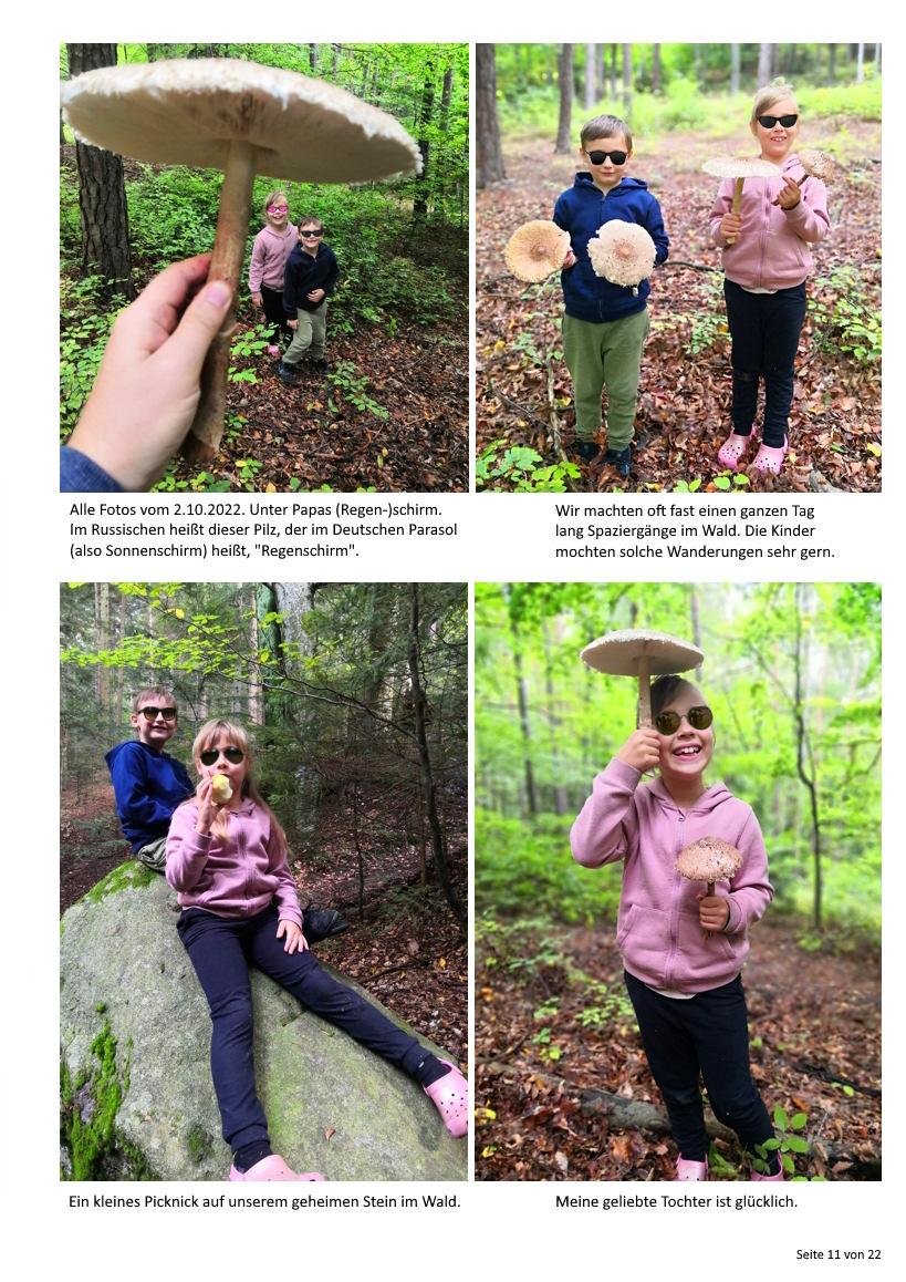 Описание изображения