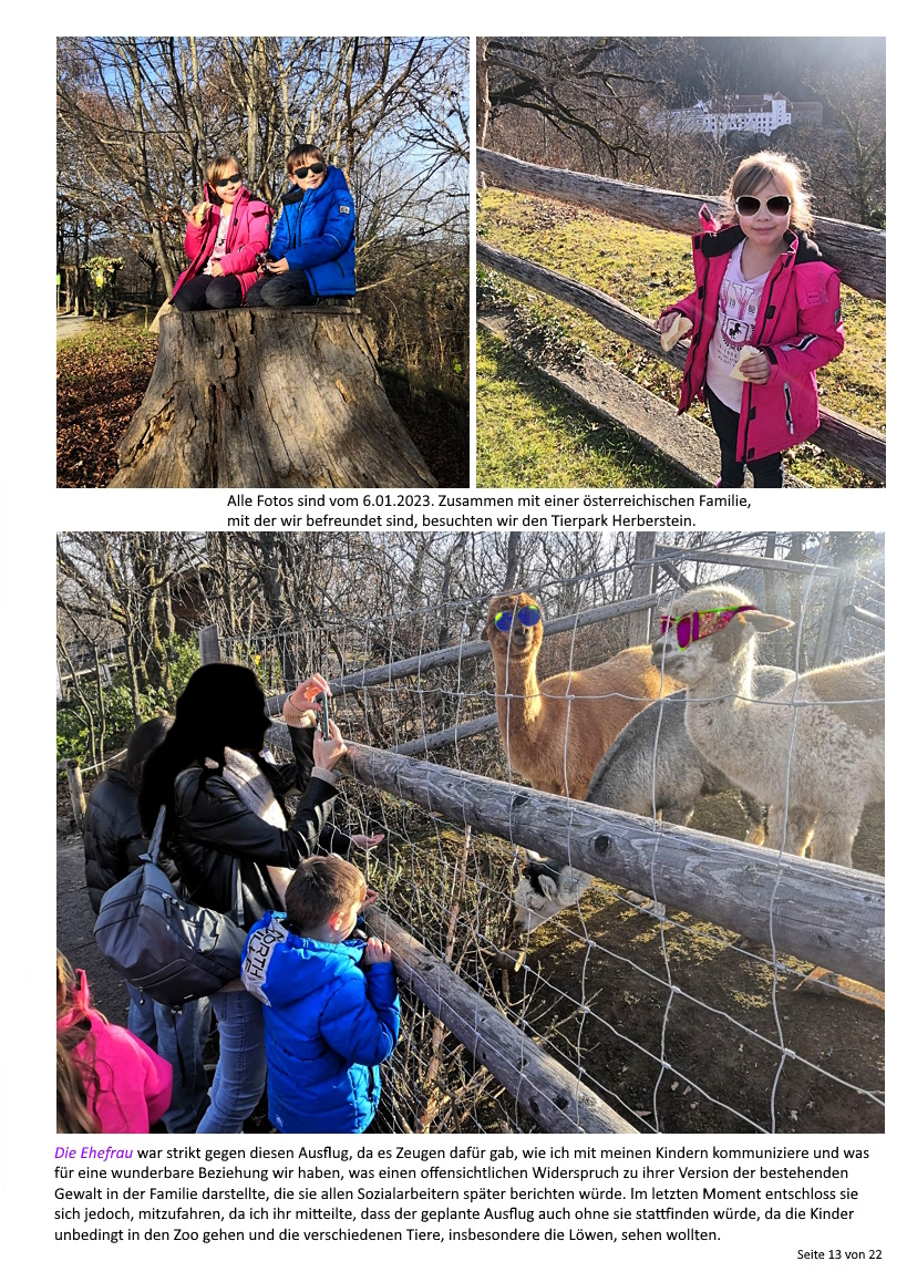 Описание изображения