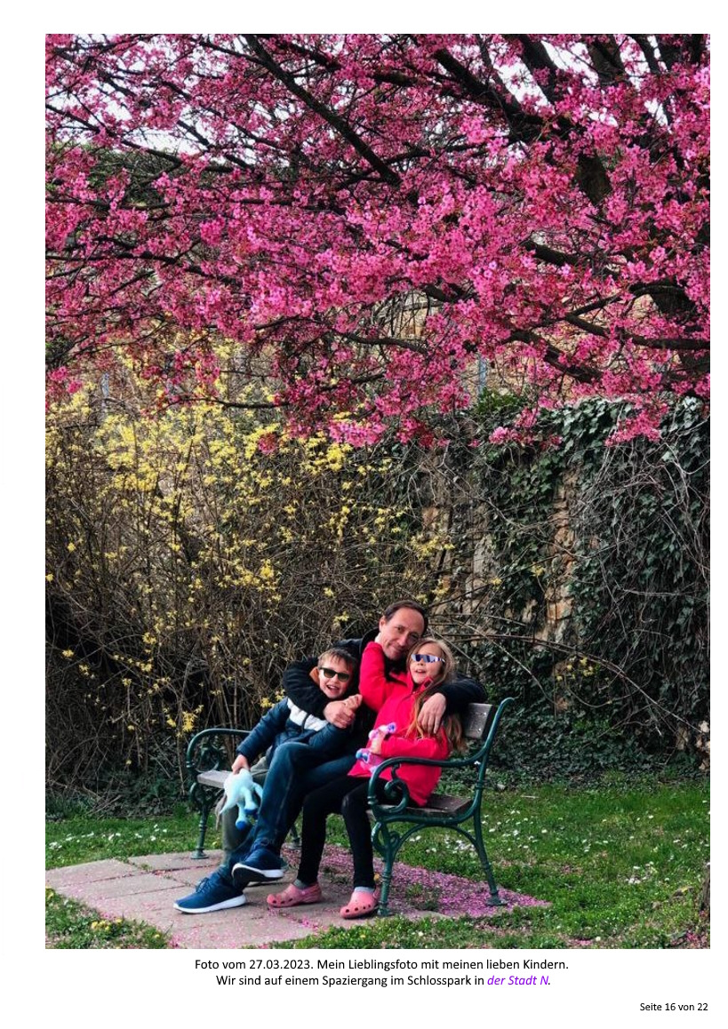 Описание изображения